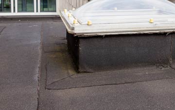 disadvantages of Ford Heath flat roofs